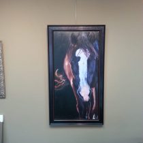 Portret van een paard